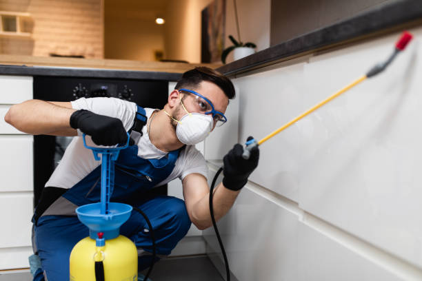 Best Pest Removal Services  in Marion, IN