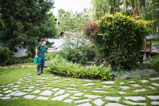 Best Affordable Pest Control Services  in Marion, IN