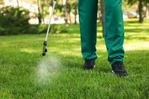 Best Local Pest Control Services  in Marion, IN