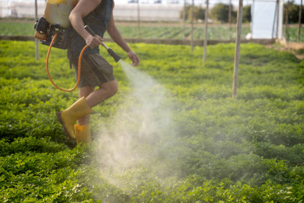 Reliable Marion, IN Pest Control Solutions