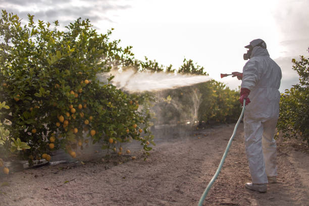 Flea Control Services in Marion, IN