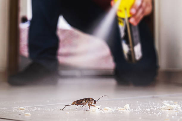 Best Emergency Pest Control  in Marion, IN