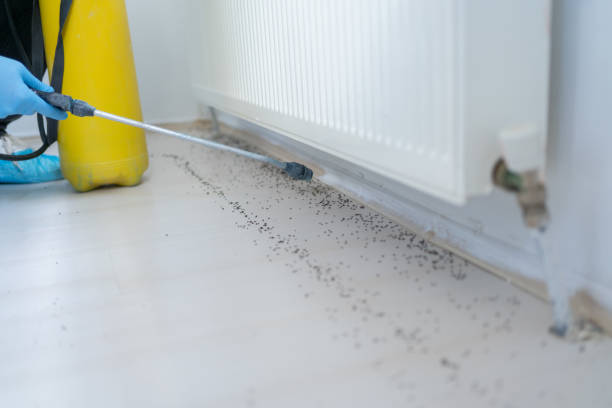 Best Pest Removal Services  in Marion, IN